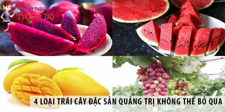 4 loại trái cây đặc sản Quảng Trị không thể bỏ qua 4 loại trái cây đặc sản Quảng Trị không thể bỏ qua
